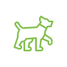Doggy day care Sunshine Coast | Dog kennels Sunshine Coast | Cattery | Pet Services | Pet Boarding